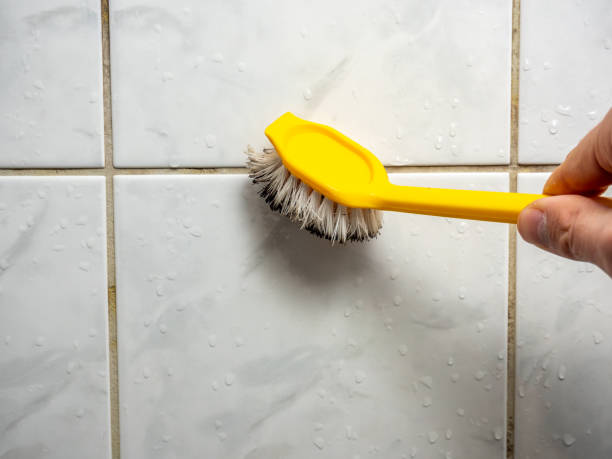 Best Local Mold Removal Service  in Lumberton, NC