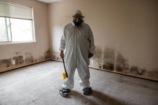 Best Commercial Mold Removal  in Lumberton, NC